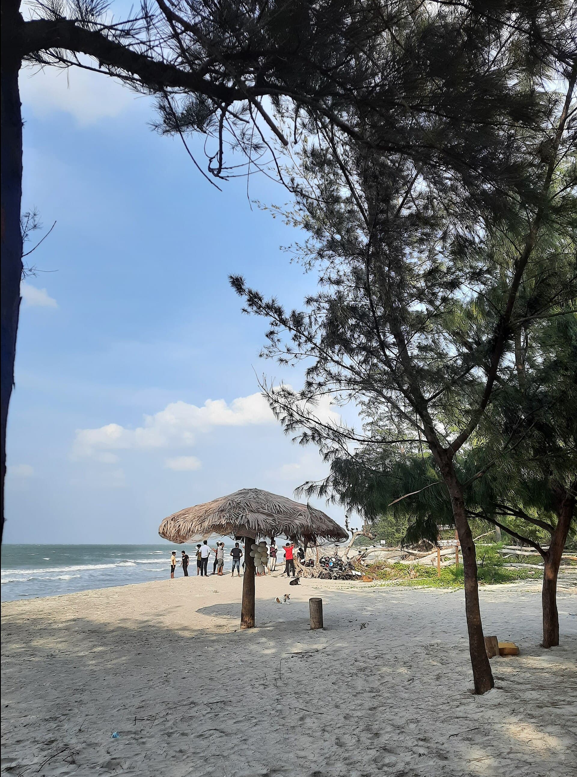 Calm shallow water and shoreline at Casuarina Beach near Jaffna